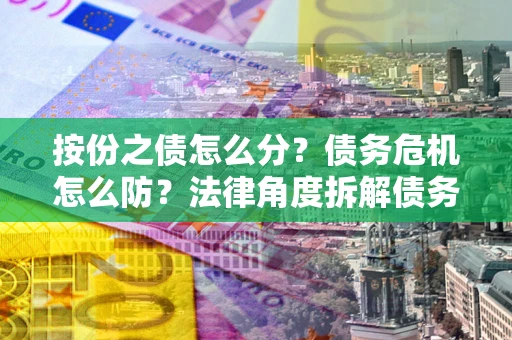 武汉按份之债怎么分？债务危机怎么防？法律角度拆解债务分配与风险自保指南