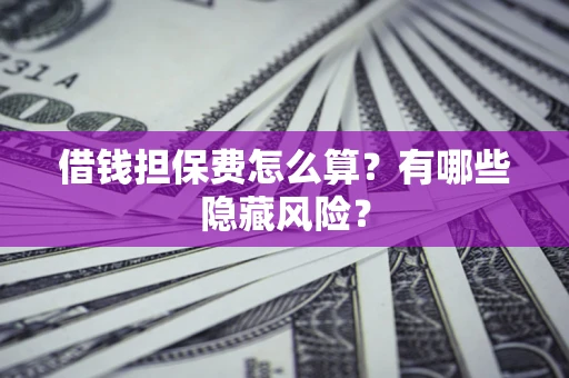 武汉借钱担保费怎么算？有哪些隐藏风险？