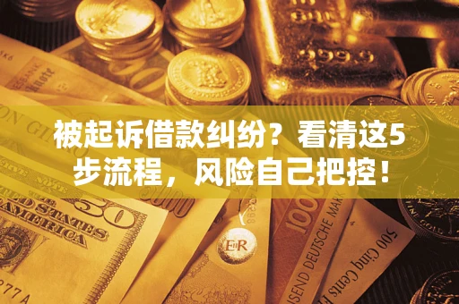 武汉被起诉借款纠纷？看清这5步流程，风险自己把控！