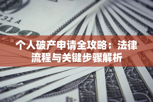 武汉个人破产申请全攻略：法律流程与关键步骤解析