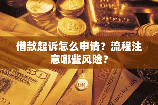 武汉借款起诉怎么申请？流程注意哪些风险？