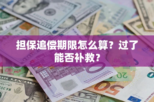 武汉担保追偿期限怎么算？过了能否补救？